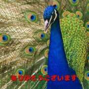 ヒメ日記 2025/04/08 12:44 投稿 のびる 熟女の風俗最終章 仙台店