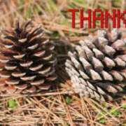 ヒメ日記 2025/04/15 21:24 投稿 のびる 熟女の風俗最終章 仙台店