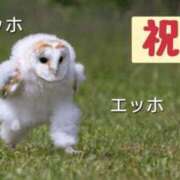 ヒメ日記 2025/04/18 08:34 投稿 のびる 熟女の風俗最終章 仙台店