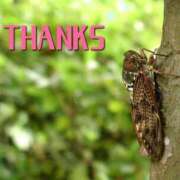 ヒメ日記 2025/05/04 19:34 投稿 のびる 熟女の風俗最終章 仙台店