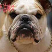 ヒメ日記 2025/05/17 07:14 投稿 のびる 熟女の風俗最終章 仙台店