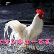 ヒメ日記 2025/06/23 12:05 投稿 のびる 熟女の風俗最終章 仙台店