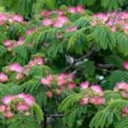 ヒメ日記 2025/07/04 08:54 投稿 のびる 熟女の風俗最終章 仙台店