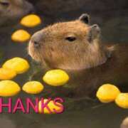 ヒメ日記 2025/07/12 14:34 投稿 のびる 熟女の風俗最終章 仙台店