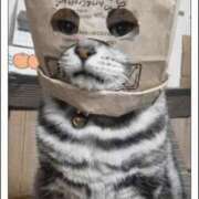 ヒメ日記 2025/07/26 10:44 投稿 のびる 熟女の風俗最終章 仙台店