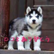 ヒメ日記 2025/08/04 07:54 投稿 のびる 熟女の風俗最終章 仙台店