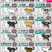 ヒメ日記 2025/08/11 10:18 投稿 のびる 熟女の風俗最終章 仙台店