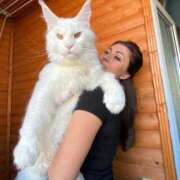 ヒメ日記 2025/08/26 09:44 投稿 のびる 熟女の風俗最終章 仙台店