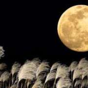 ヒメ日記 2025/10/01 10:14 投稿 のびる 熟女の風俗最終章 仙台店