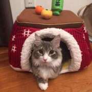 ヒメ日記 2025/10/16 10:16 投稿 のびる 熟女の風俗最終章 仙台店