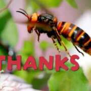 ヒメ日記 2025/11/03 20:38 投稿 のびる 熟女の風俗最終章 仙台店