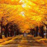 ヒメ日記 2025/11/28 10:24 投稿 のびる 熟女の風俗最終章 仙台店