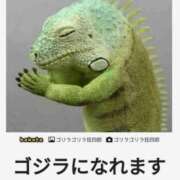 ヒメ日記 2025/12/20 10:04 投稿 のびる 熟女の風俗最終章 仙台店