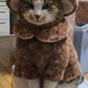 ヒメ日記 2025/12/26 10:44 投稿 のびる 熟女の風俗最終章 仙台店