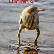 ヒメ日記 2026/02/15 08:34 投稿 のびる 熟女の風俗最終章 仙台店