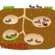 ヒメ日記 2026/02/19 01:04 投稿 のびる 熟女の風俗最終章 仙台店