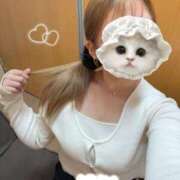 ヒメ日記 2025/10/19 19:08 投稿 さくら ダイスキ