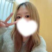 ヒメ日記 2025/11/12 18:04 投稿 さくら ダイスキ