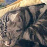 ヒメ日記 2024/12/30 13:48 投稿 めい 上野ハイブリッドマッサージ