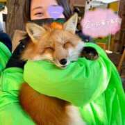 ヒメ日記 2025/01/05 22:58 投稿 めい 上野ハイブリッドマッサージ