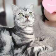 ヒメ日記 2025/04/09 11:08 投稿 めい 品川ハイブリッドマッサージ