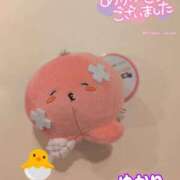 ヒメ日記 2025/11/08 19:16 投稿 ユカリ ラブコレクション