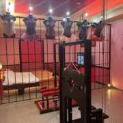 ヒメ日記 2025/06/16 07:41 投稿 さら モアグループ川越人妻花壇