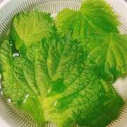 ヒメ日記 2025/06/23 22:12 投稿 さら モアグループ川越人妻花壇