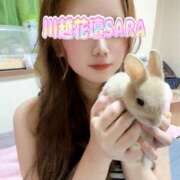 ヒメ日記 2025/07/17 11:46 投稿 さら モアグループ川越人妻花壇