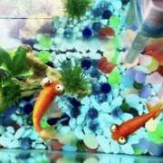 ヒメ日記 2025/11/20 14:33 投稿 さら モアグループ川越人妻花壇