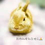 ヒメ日記 2026/01/07 10:47 投稿 さら モアグループ川越人妻花壇