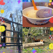 ヒメ日記 2026/03/07 20:56 投稿 さら モアグループ川越人妻花壇