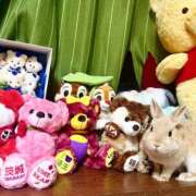 さら 休日でした🌸 モアグループ川越人妻花壇