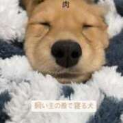 ヒメ日記 2025/02/01 04:19 投稿 愛咲まりな グランエステ東京 品川（シンデレラグループ）