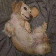 ヒメ日記 2025/03/28 04:04 投稿 愛咲まりな グランエステ東京 品川（シンデレラグループ）