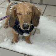 ヒメ日記 2025/04/23 03:00 投稿 愛咲まりな グランエステ東京 品川（シンデレラグループ）