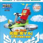 ヒメ日記 2025/09/03 10:04 投稿 八神あかね 五十路マダムエクスプレス豊橋店（カサブランカグループ）