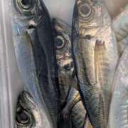 ヒメ日記 2026/04/15 11:12 投稿 八神あかね 五十路マダムエクスプレス豊橋店（カサブランカグループ）