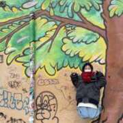 ヒメ日記 2025/02/05 12:35 投稿 そら ニュー不夜城