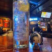 ヒメ日記 2025/02/25 23:36 投稿 そら ニュー不夜城