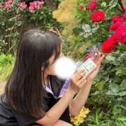 ヒメ日記 2025/03/15 15:45 投稿 そら ニュー不夜城