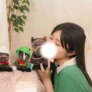 ヒメ日記 2025/04/06 07:30 投稿 そら ニュー不夜城