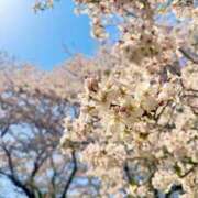 ヒメ日記 2025/04/08 19:06 投稿 そら ニュー不夜城