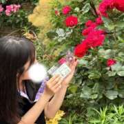 ヒメ日記 2025/04/18 19:36 投稿 そら ニュー不夜城