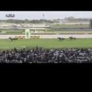 ヒメ日記 2025/04/19 16:16 投稿 そら ニュー不夜城