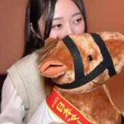 ヒメ日記 2025/05/29 19:56 投稿 そら ニュー不夜城