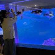 ヒメ日記 2025/07/27 05:56 投稿 そら ニュー不夜城