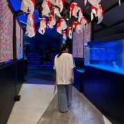 ヒメ日記 2025/07/29 08:56 投稿 そら ニュー不夜城