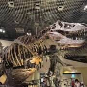 ヒメ日記 2025/08/22 17:56 投稿 そら ニュー不夜城