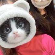 ヒメ日記 2025/04/24 13:40 投稿 あいか 赤坂添い寝女子